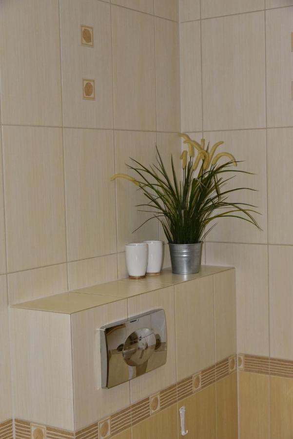 Apartament Sloneczny Brzeg Мендзиздроє Екстер'єр фото